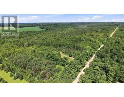 495144 Traverston Road, West Grey, ON N0C1H0 Photo 38
