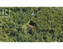 495144 Traverston Road, West Grey, ON N0C1H0 Photo 40