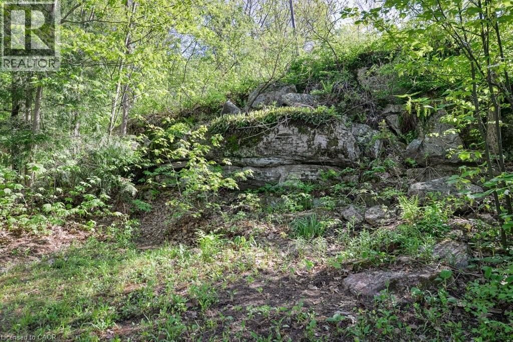 216 SMOOTH ROCK Road - 35