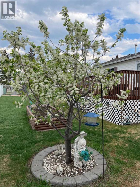 653 Carley Close - 26