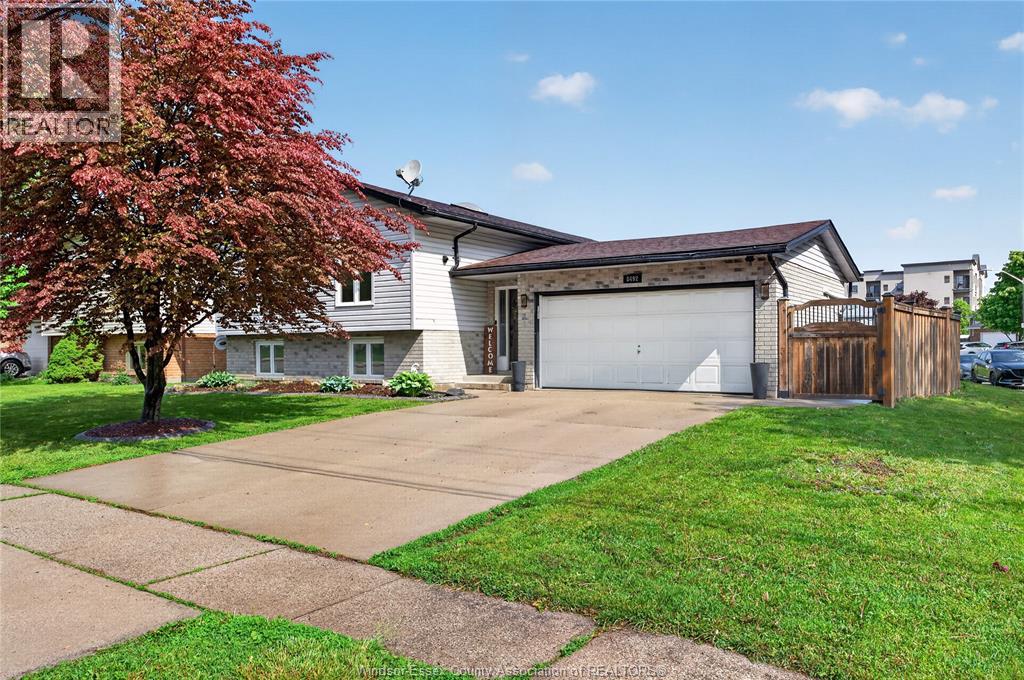 8492 Jerome - 49