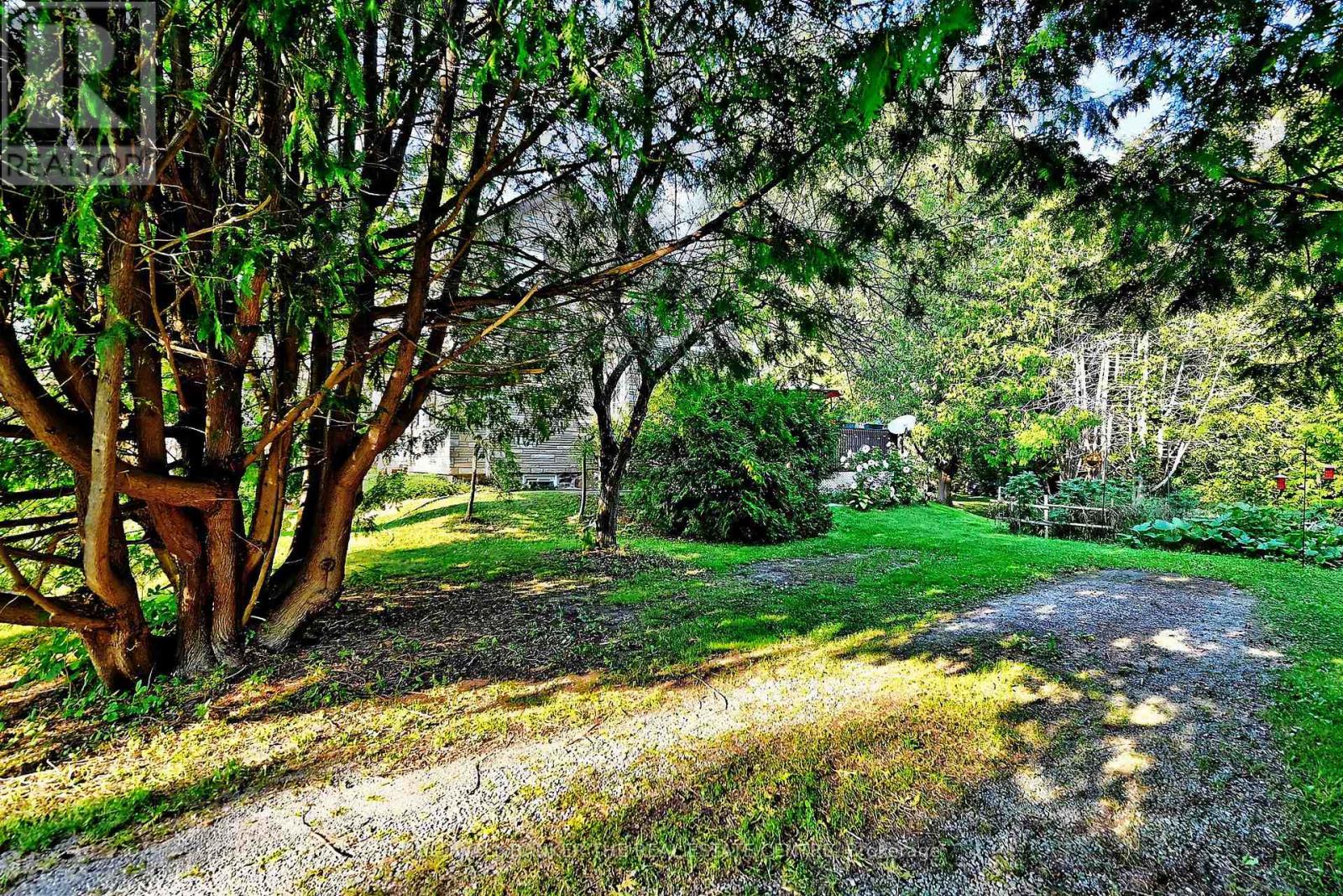 20805 BROCK ROAD - 6
