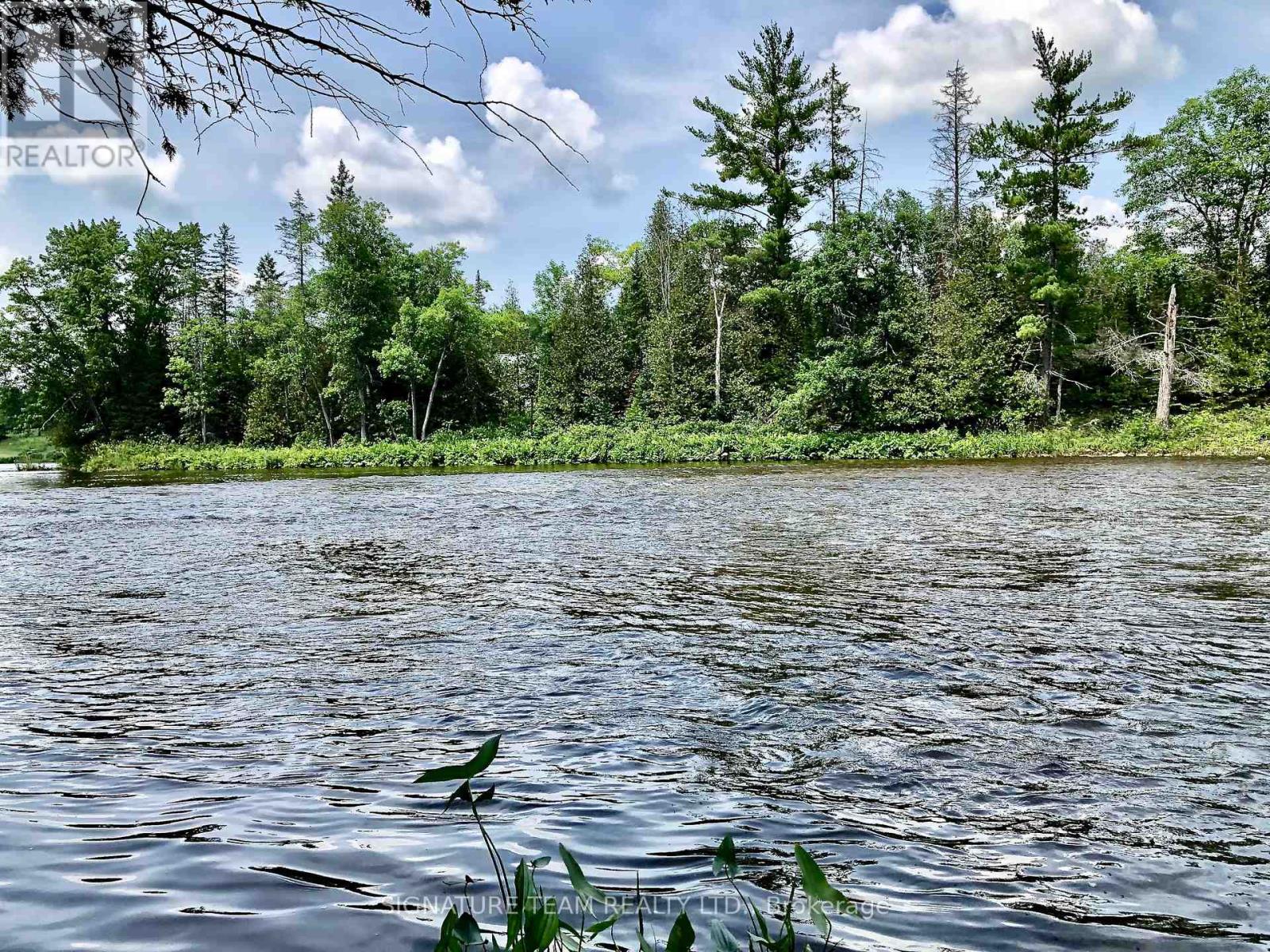 3092 SCOTCH BUSH ROAD - 18