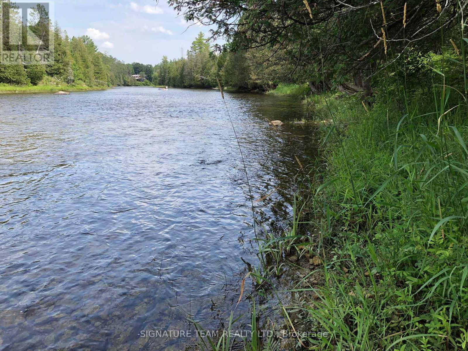 3092 SCOTCH BUSH ROAD - 20