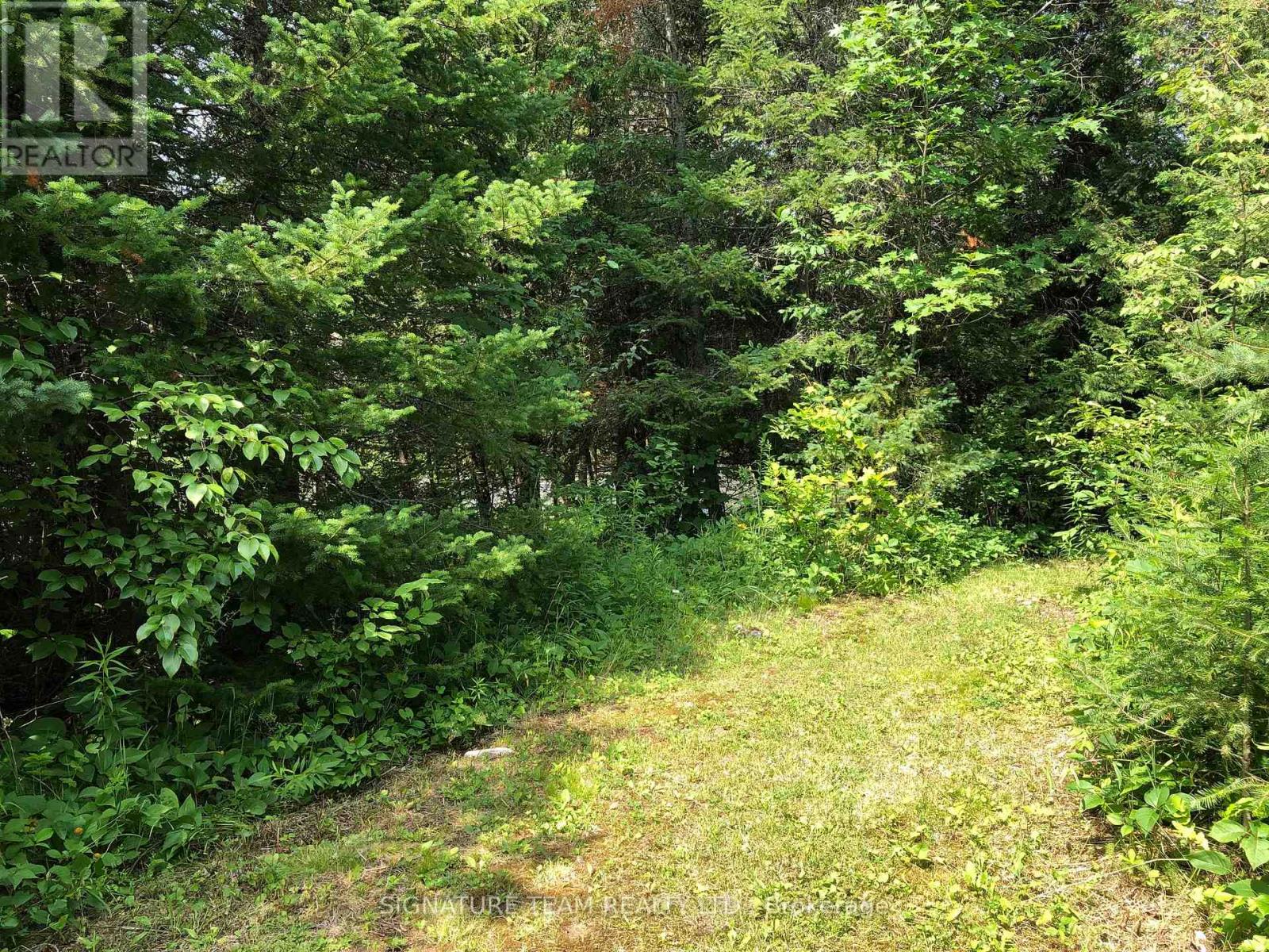 3092 SCOTCH BUSH ROAD - 23