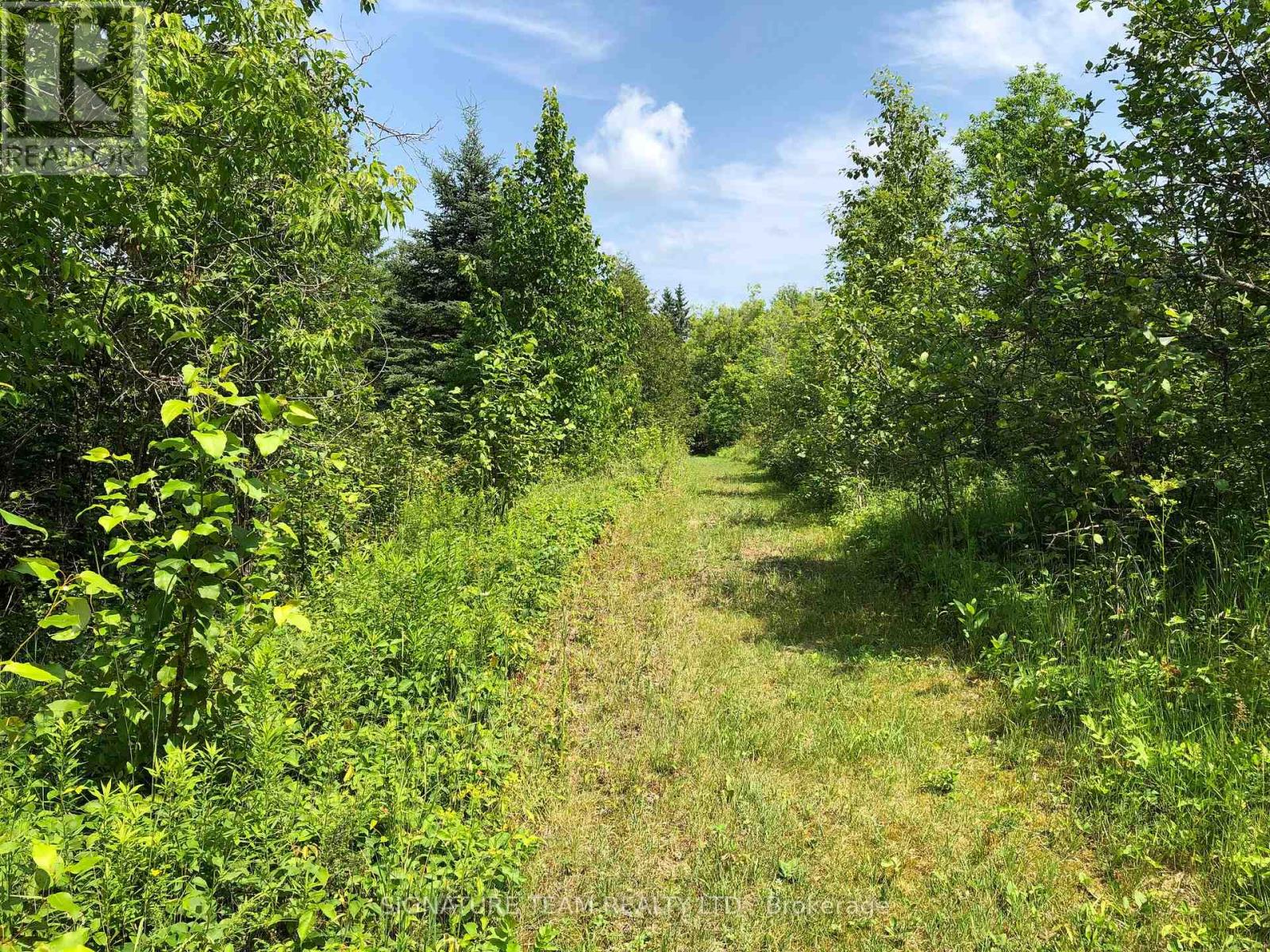 3092 SCOTCH BUSH ROAD - 25