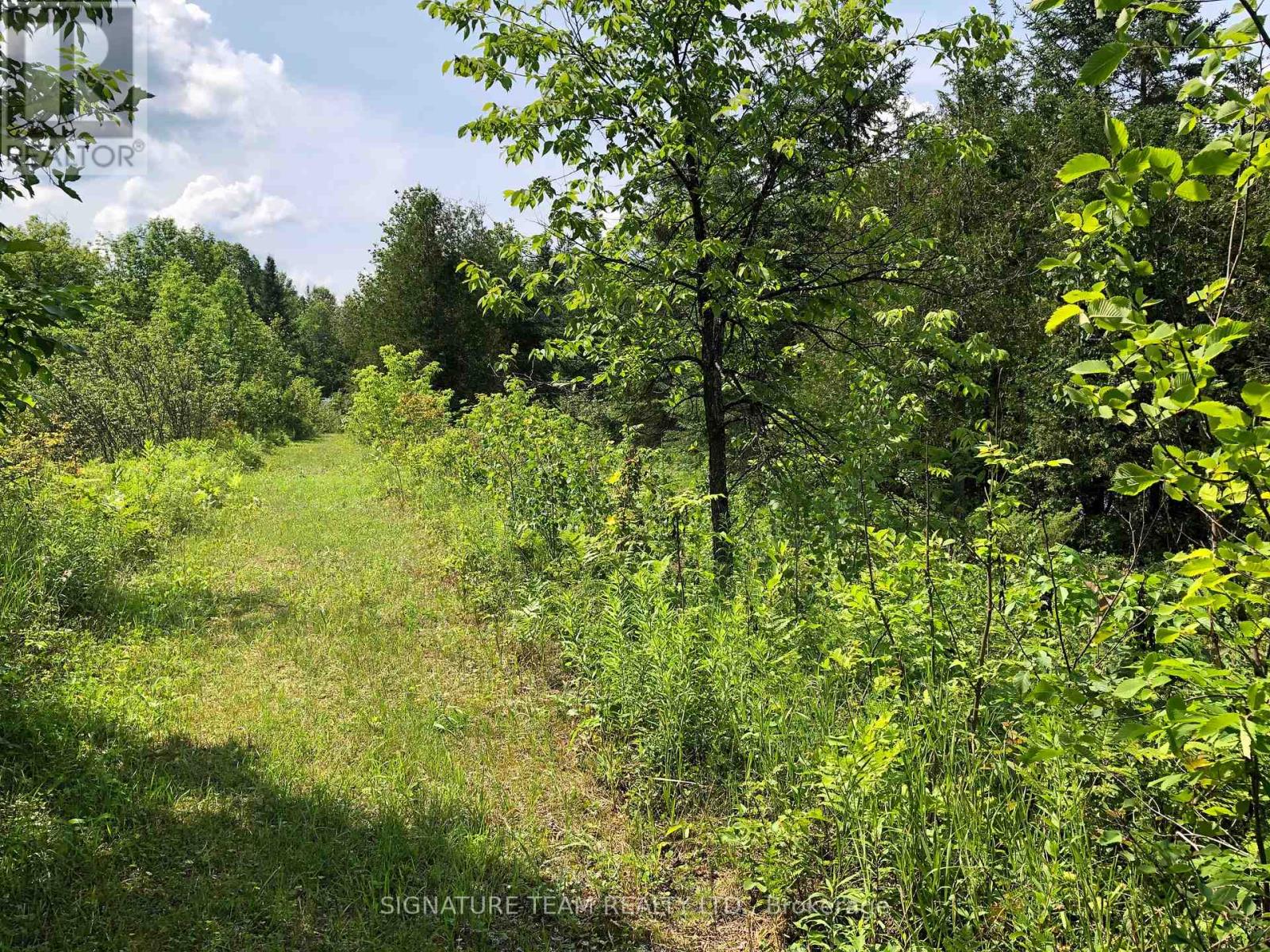 3092 SCOTCH BUSH ROAD - 28