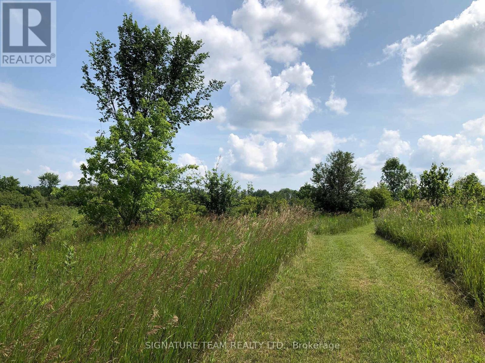3092 SCOTCH BUSH ROAD - 31