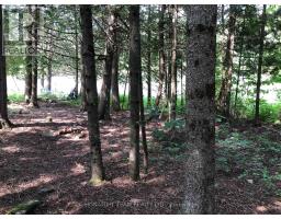 3092 Scotch Bush Road, Bonnechere Valley, ON K0J1S0 Photo 22