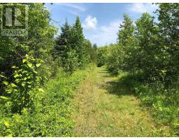 3092 Scotch Bush Road, Bonnechere Valley, ON K0J1S0 Photo 25