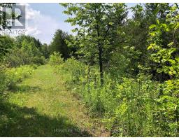 3092 Scotch Bush Road, Bonnechere Valley, ON K0J1S0 Photo 28