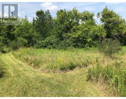 3092 Scotch Bush Road, Bonnechere Valley, ON K0J1S0 Photo 30