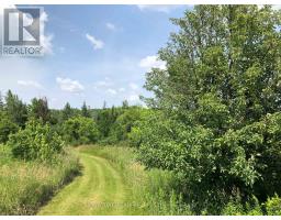 3092 Scotch Bush Road, Bonnechere Valley, ON K0J1S0 Photo 32