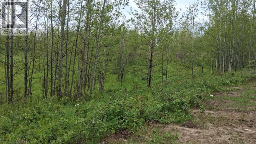 423011 Range Road 14 - Photo 12