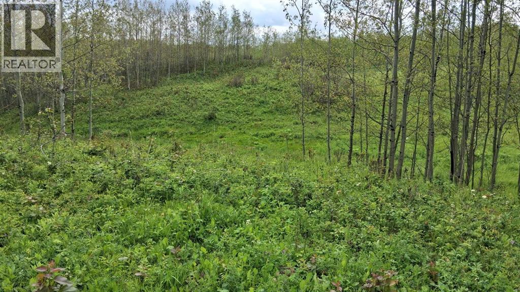 423011 Range Road 14 - Photo 11