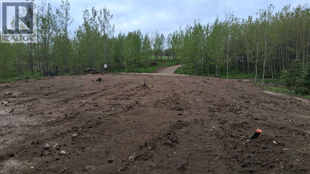 423011 Range Road 14 - Photo 14