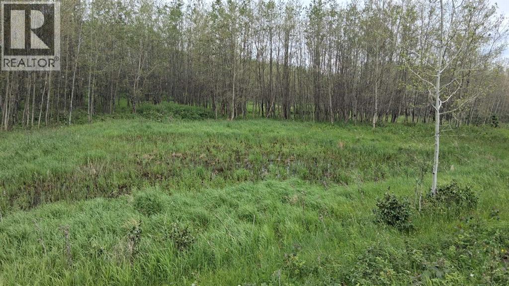 423011 Range Road 14 - Photo 13