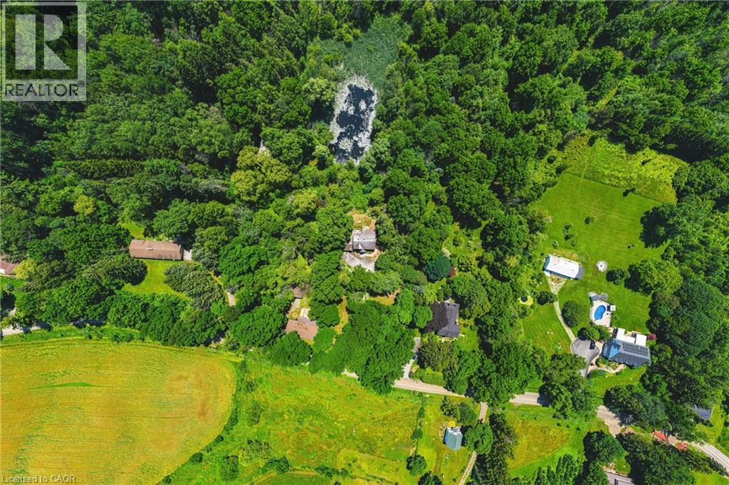 1548 MINERAL SPRINGS Road - 44