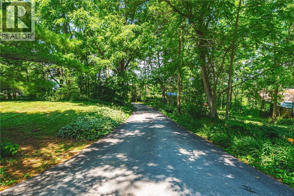 1548 MINERAL SPRINGS Road - 48