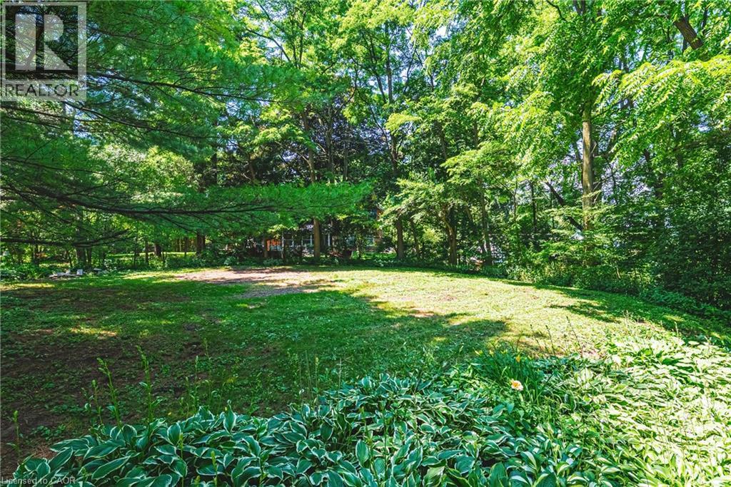 1548 MINERAL SPRINGS Road - 49