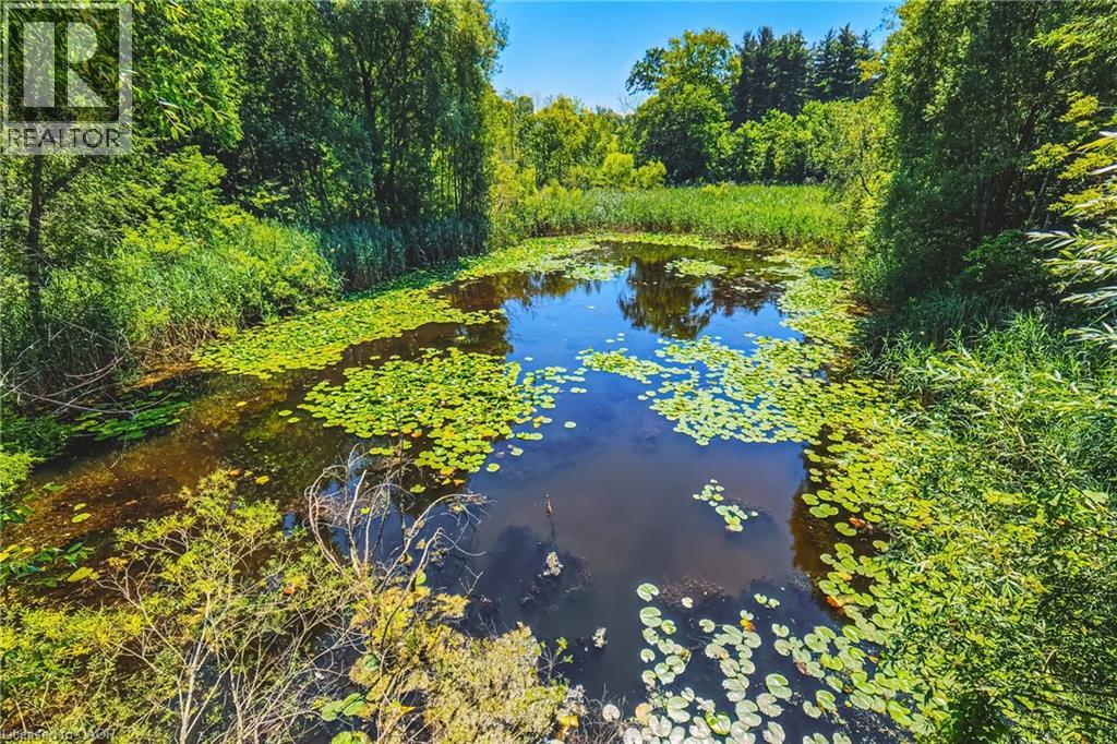 1548 MINERAL SPRINGS Road - 50