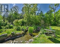 4 Hubbard Street, Georgina, ON L0E1N0 Photo 24