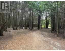444425 Concession Road 8, West Grey, ON N0C1H0 Photo 31