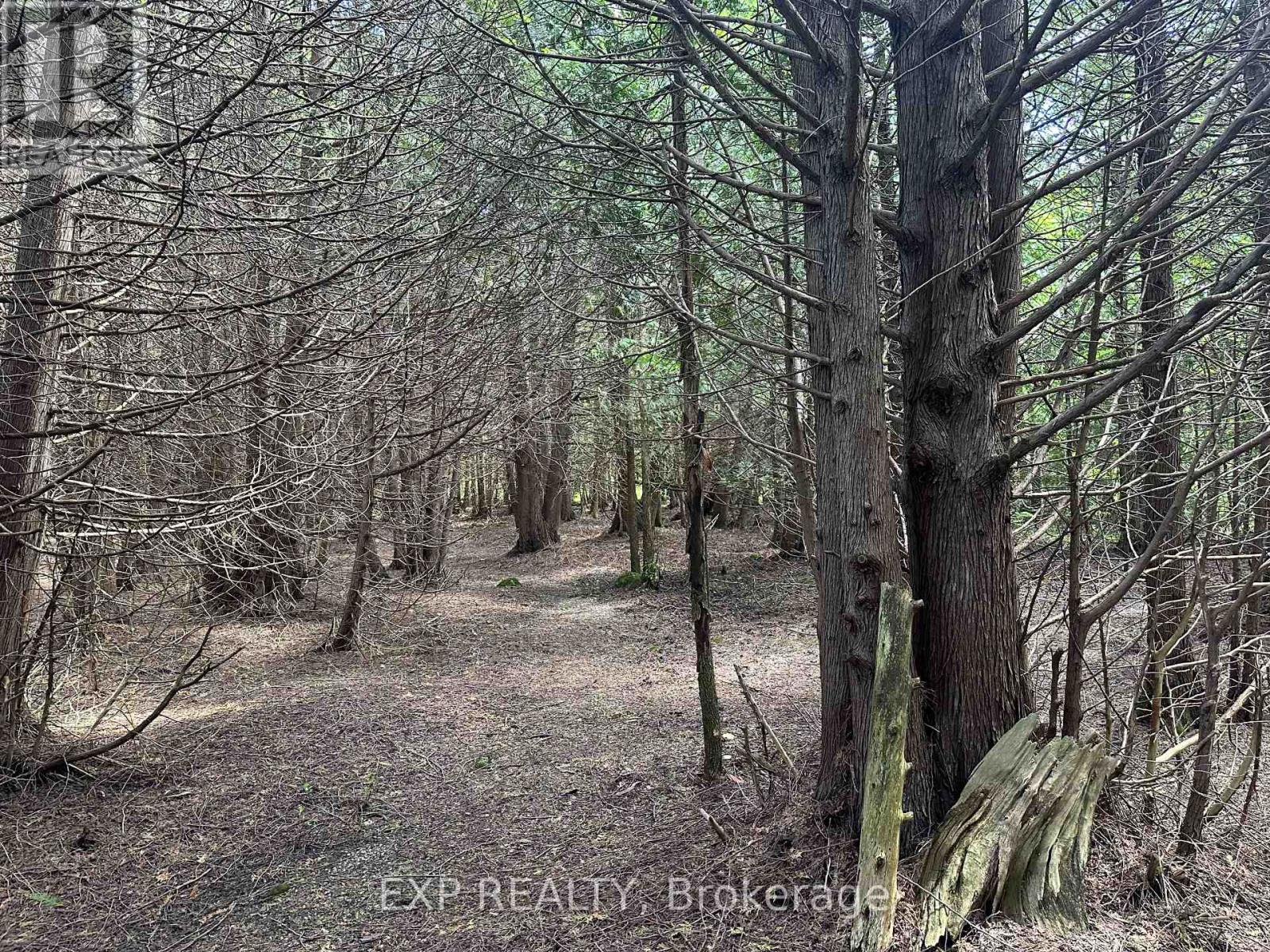 444425 CONCESSION ROAD 8 - 32