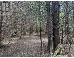 444425 Concession Road 8, West Grey, ON N0C1H0 Photo 32