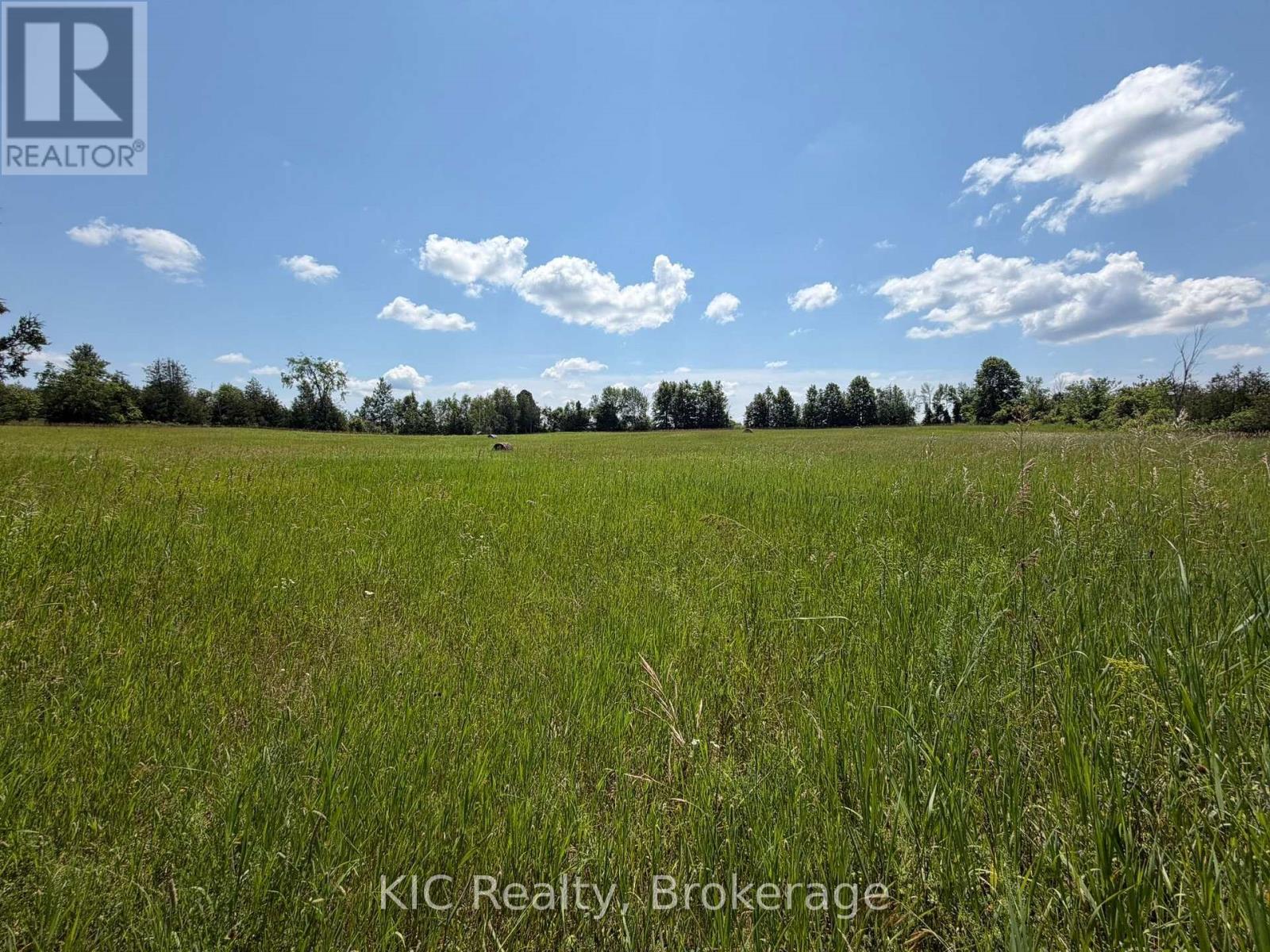 221 JONES ROAD - Image 15