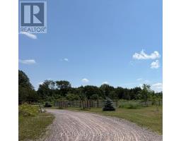 221 Jones Road, Centre Hastings, ON K0K2K0 Photo 13