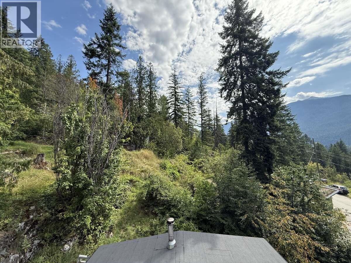 588 Alpine Lane E, Revelstoke