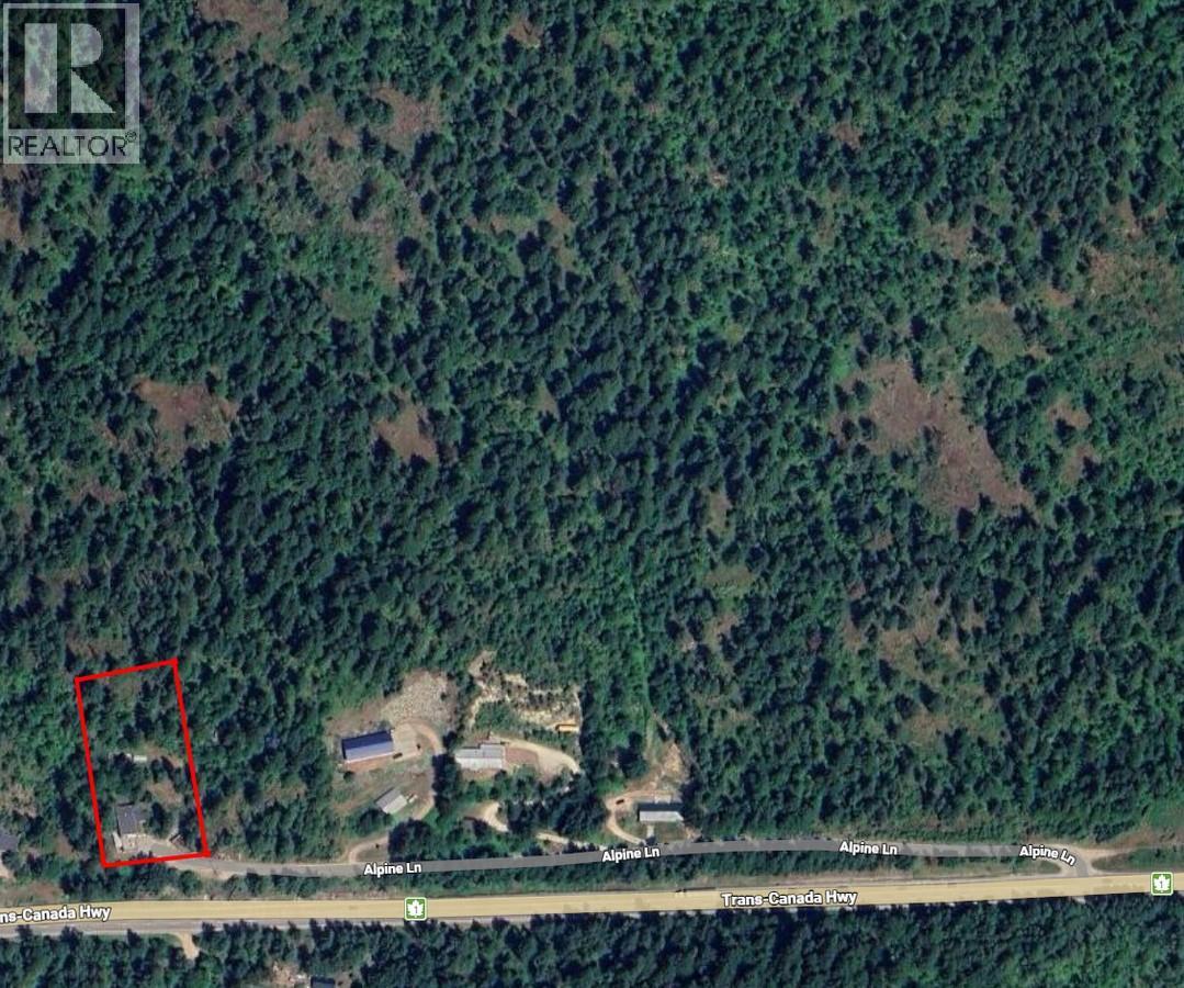588 Alpine Lane E, Revelstoke