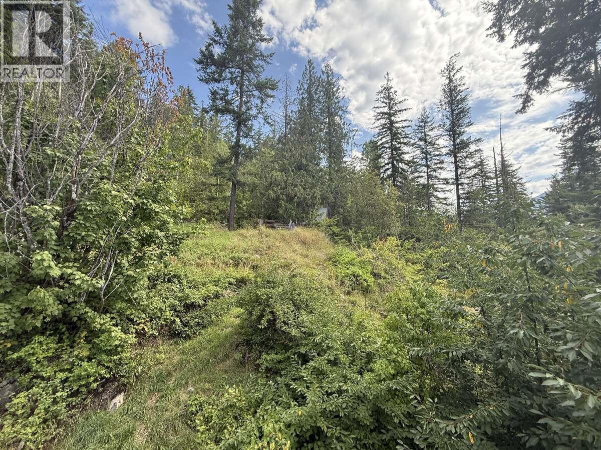 588 Alpine Lane E, Revelstoke