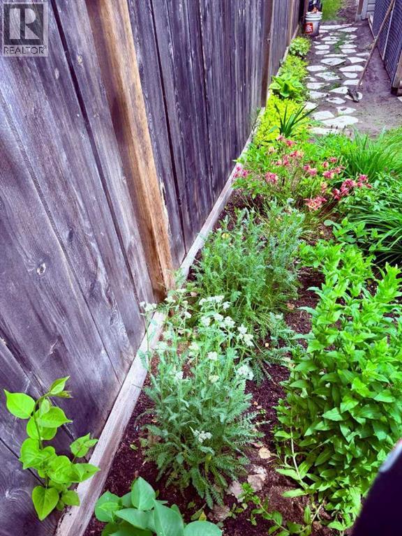 41 Pinnacle Road — photo 31
