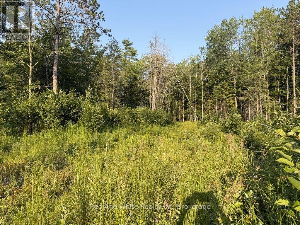 41 Mintha Street, Madawaska Valley, Ontario, K0J1B0, Madawaska Valley, Ontario — photo 4 of 5