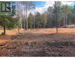41 Mintha Street, Madawaska Valley, ON K0J1B0 Photo 6