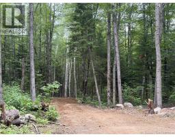 0 Tucker Lane, White Rapids, NB E3B4P8 Photo 12