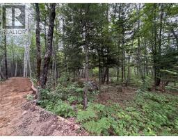 0 Tucker Lane, White Rapids, NB E3B4P8 Photo 14