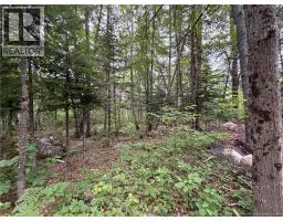 0 Tucker Lane, White Rapids, NB E3B4P8 Photo 15