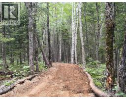 0 Tucker Lane, White Rapids, NB E3B4P8 Photo 13