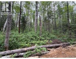 0 Tucker Lane, White Rapids, NB E3B4P8 Photo 16