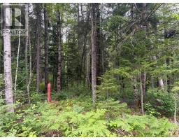 0 Tucker Lane, White Rapids, NB E3B4P8 Photo 17