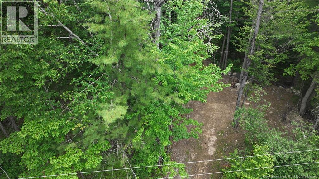 0 Tucker Lane, White Rapids — photo 3