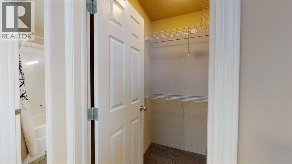 171 Pinnacle Way - 19