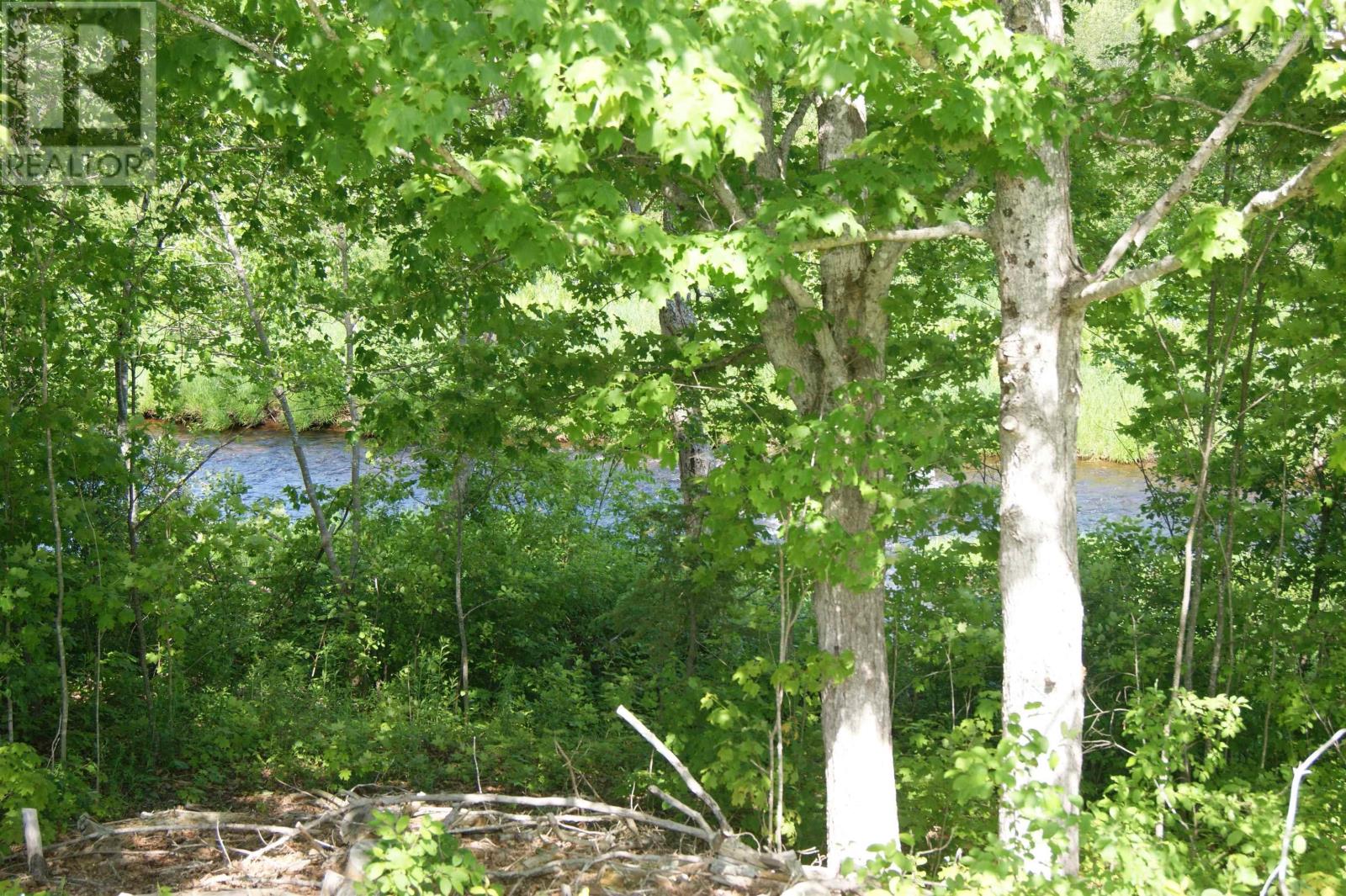 4456 Stellarton Trafalgar Road - 12