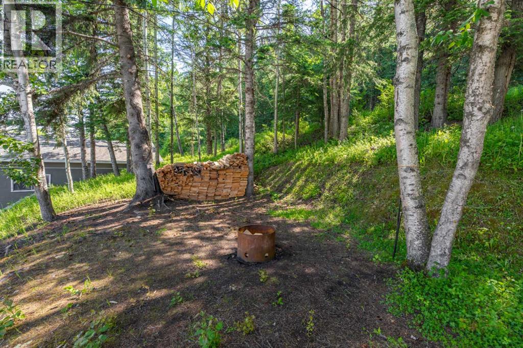 153 Alder Drive - 38