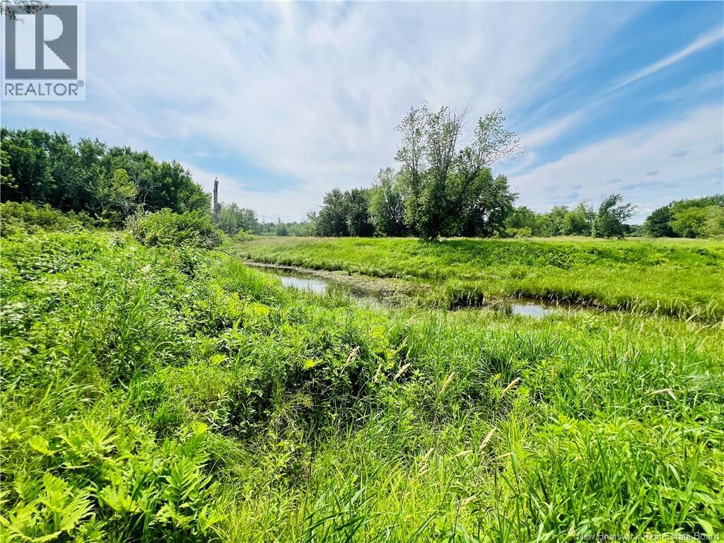 2147 Tweedside Road - 34