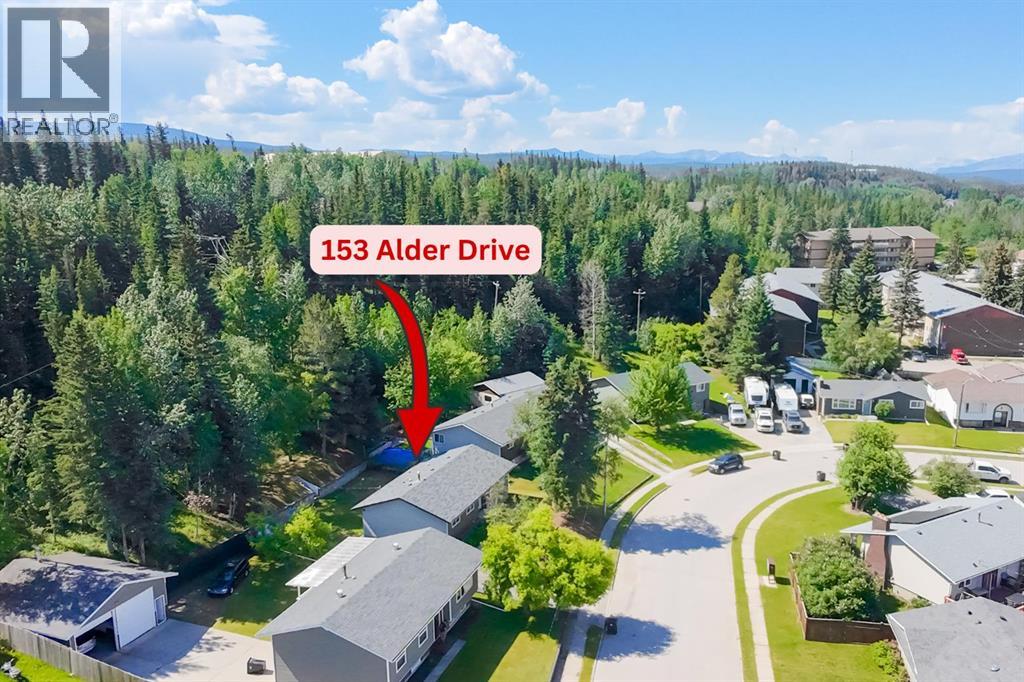 153 Alder Drive - 50