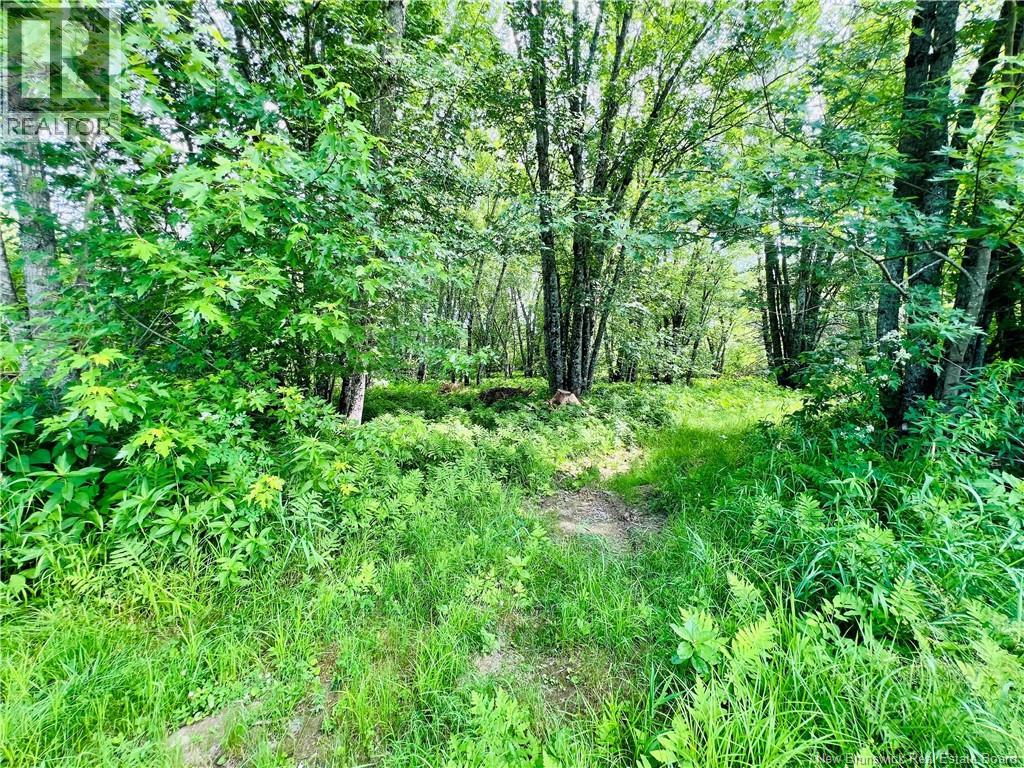 2147 Tweedside Road - 35